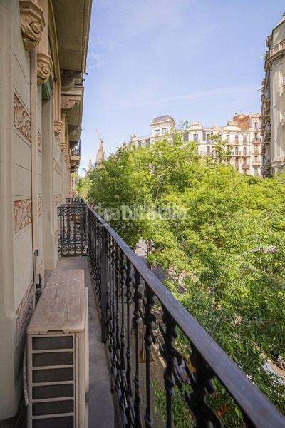 Foto 7d8bba22-a2f7-4069-a8dc-70026f97cc95. Pis a Fort Pienc Barcelona