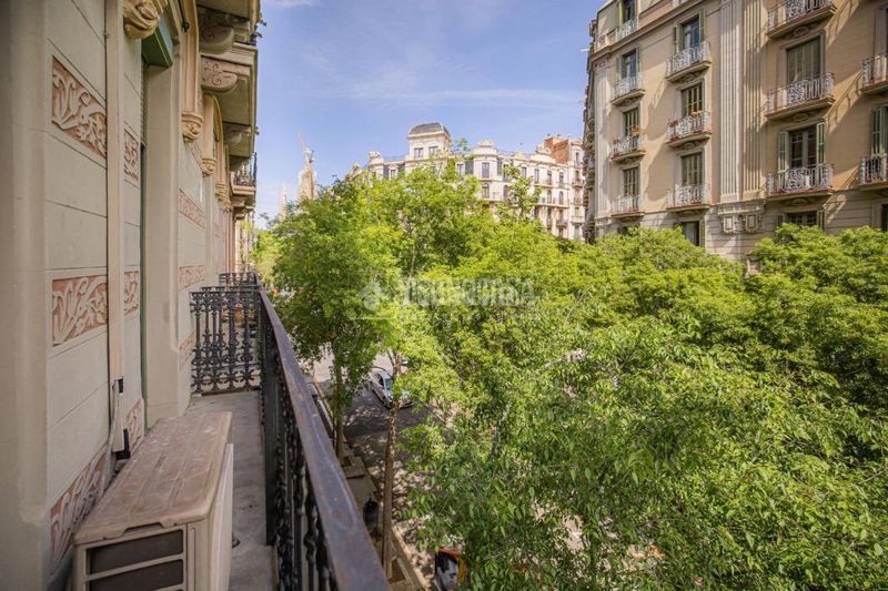 Foto aeeff583-d8a8-444d-b746-cec7ee6982b8. Pis a Fort Pienc Barcelona