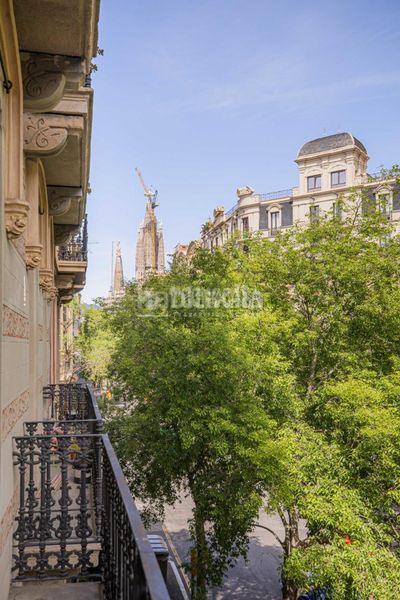 Foto d4aca5f1-58f0-4136-9b04-6f1afc1d7d8a. Pis a Fort Pienc Barcelona