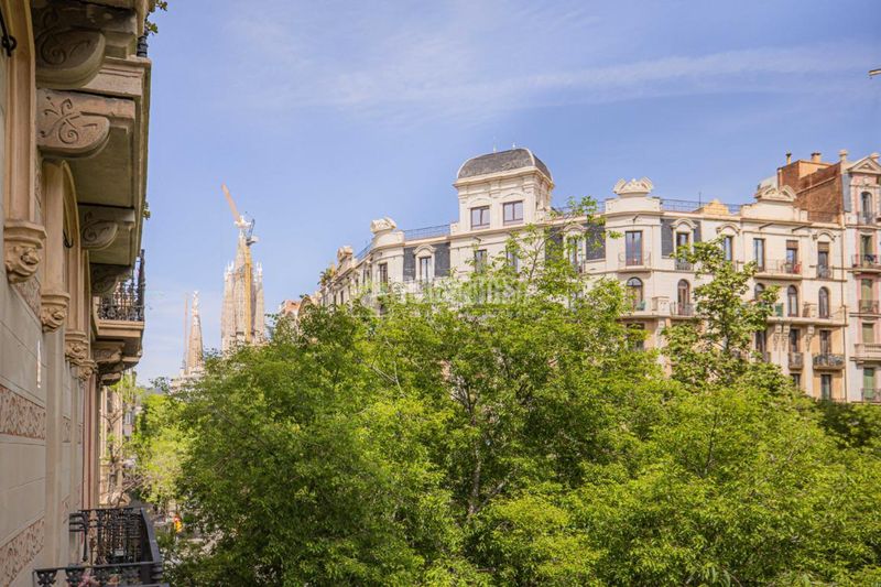 Foto fbd36efa-cb23-48f4-9977-2cf44b8a4078. Pis a Fort Pienc Barcelona