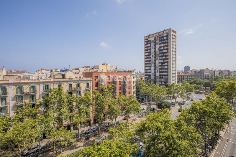 Foto d083bf86-1e26-47d6-9d00-4c124fb32712. Pis a Dreta de l´Eixample Barcelona