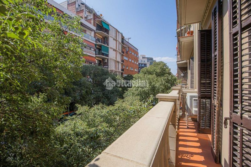 Foto c18dbe2c-d4dc-418a-bc75-03411ea187cd. Pis a Fort Pienc Barcelona