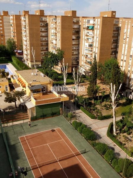 Foto cd918687-82e1-4ecf-9083-78780748d6c2. Pis a La Serna Fuenlabrada