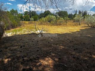 Finca rústica a Monte Rozas. Terrenos en venta en las rozas de madrid