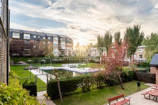 Pis en Auditorio. Piso en venta en las rozas de madrid