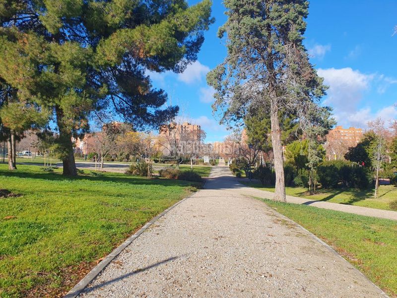 Foto 509205e9-e1c6-4564-8b7b-bc36064f79ca. Piso  en venta en Palomeras Sureste Madrid