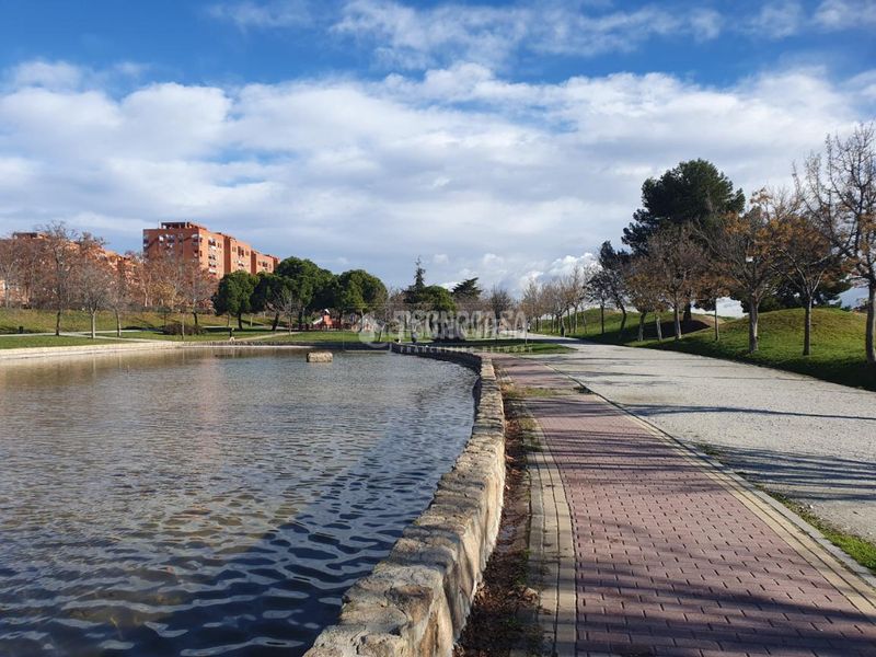 Foto c5c44283-0fb9-4801-b6c9-0def682664f0. Piso  en venta en Palomeras Sureste Madrid