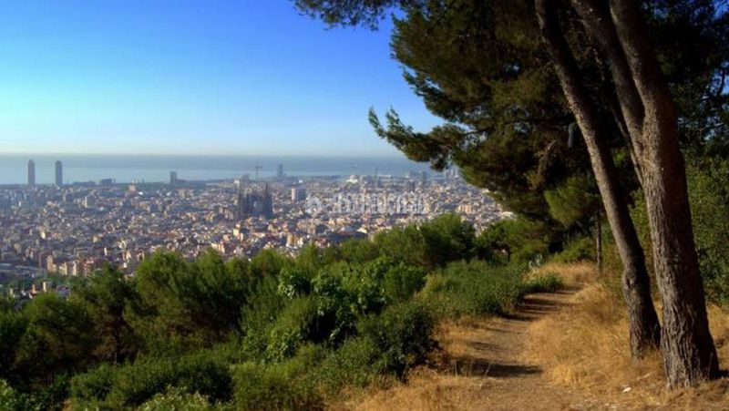 Foto b199b462-339d-44c3-8c62-9bfd14bbfbe6. Pis a Guinardó Barcelona