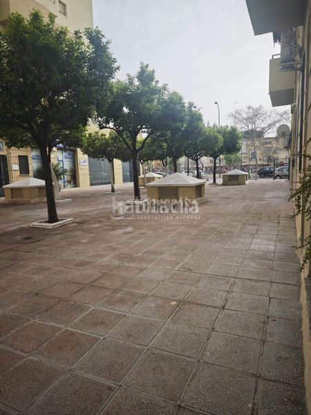 Foto 5b067d62-7450-4dbe-8761-42895d0c8e80. Pis a Parque María Luisa -Giralda Sur Sevilla