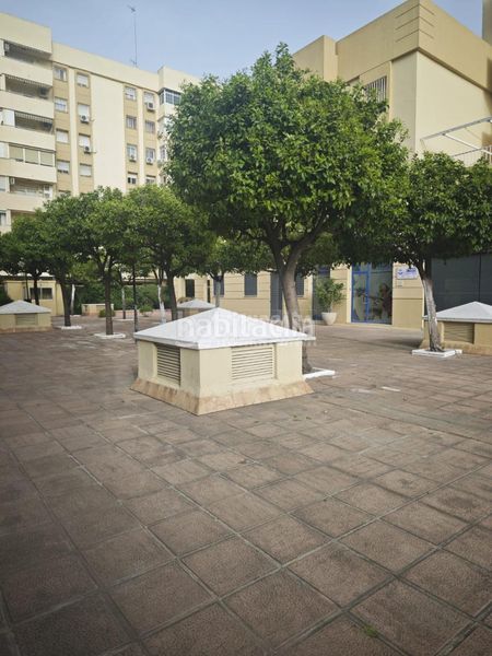 Foto a76557fa-0007-47cf-b0c9-b6fadf77f066. Pis a Parque María Luisa -Giralda Sur Sevilla