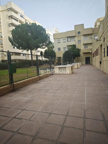 Foto dac74d6d-7861-4688-9cd3-5f685371a2f5. Pis a Parque María Luisa -Giralda Sur Sevilla