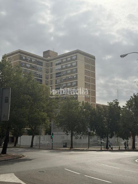 Foto f141ec3c-f7c0-4006-a20b-252846f232a8. Pis a El Plantinar - Avda. La Paz - El Juncal Sevilla