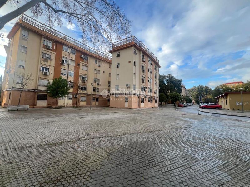 Foto c92d0ee8-d4e0-4a89-ba71-90d0ceb4b027. Pis a Tiro de Línea Sevilla