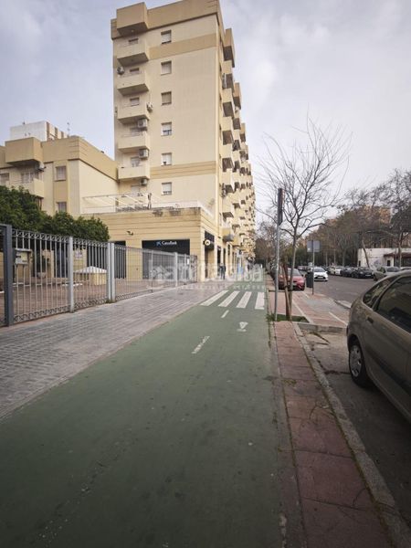 Foto e1a7bfc7-d7f6-452f-b60e-a7b5d07c0838. Pis a Parque María Luisa -Giralda Sur Sevilla
