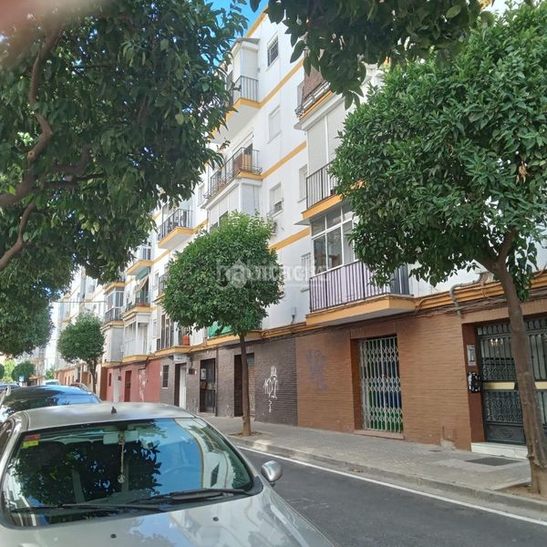 Foto 36c53a41-4c52-4247-a730-cfec7341718e. Piso  en venta en El Plantinar - Avda. La Paz - El Juncal Sevilla