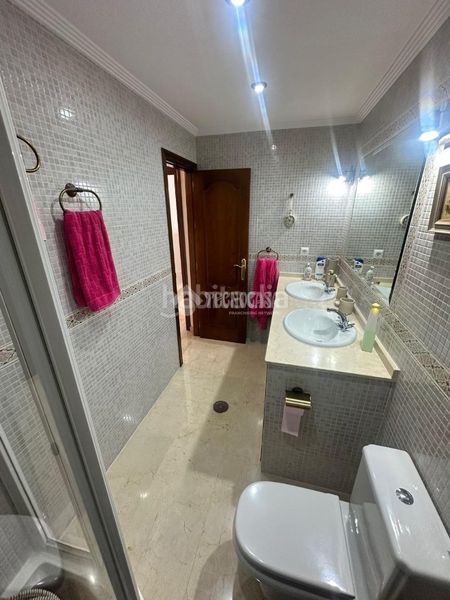 Foto efff1e0a-f015-420e-90e0-070e623394d1. Pis a Tiro de Línea Sevilla