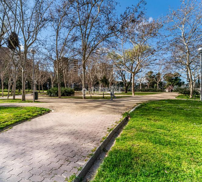 Foto ba6eb877-c808-41ce-853d-5220e60cb454. Pis a Pilar Madrid