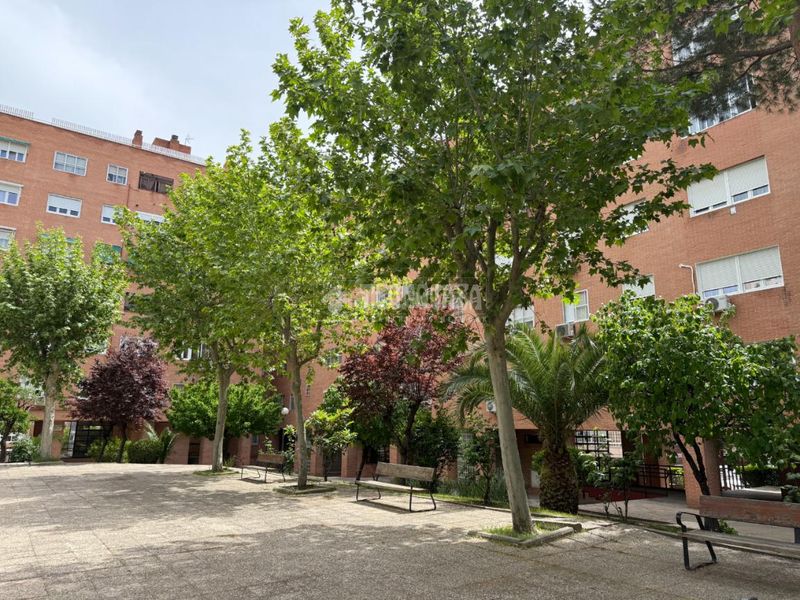 Foto e250d069-0bda-435b-ab06-b1802c291fa8. Pis amb calefacció a Pinar del Rey Madrid