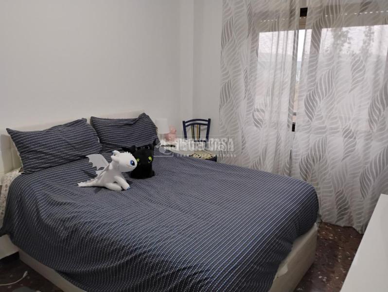 Foto f0de037d-1d3b-4a04-b203-17bda7efbe0c. Alquiler piso  en alquiler en Parque de los Cineastas Zaragoza