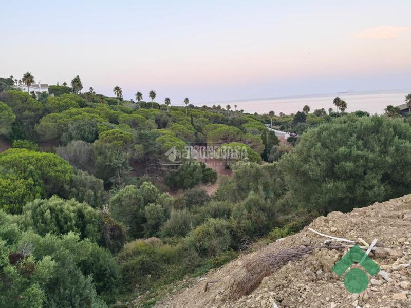 Foto 56519db1-ed5b-4ac2-9454-9e5f87059d50. Terreno residencial terrenos en venta en San García Algeciras