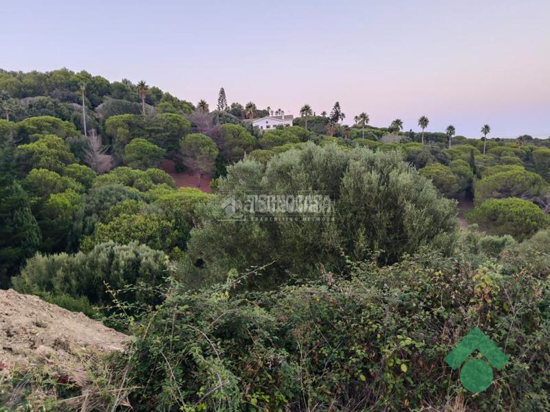 Foto 61834a32-fa78-4079-bb01-da0e6abacd98. Terreno residencial terrenos en venta en San García Algeciras