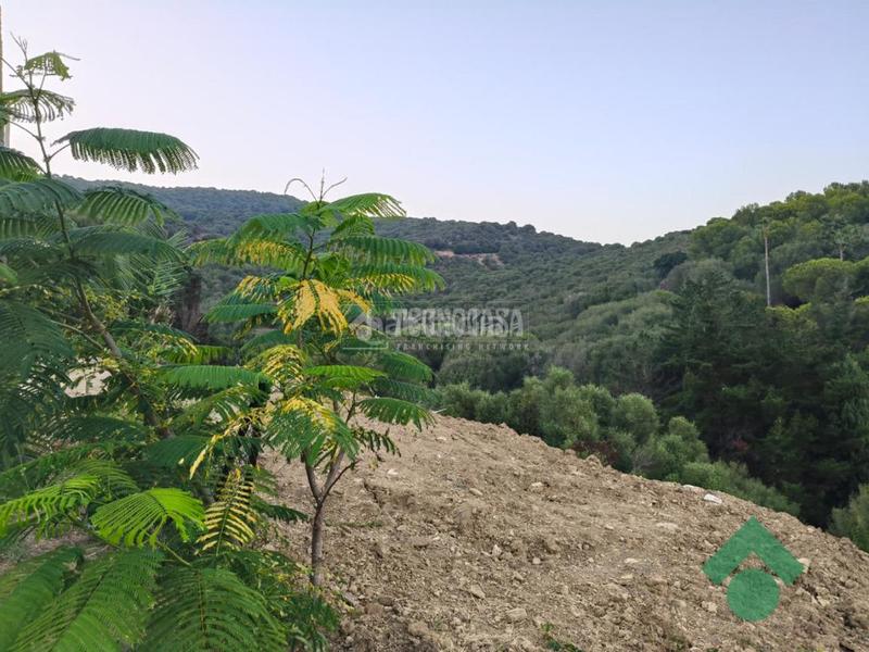 Foto 8210d5ce-76c7-4ace-9d65-012fbade1255. Terreno residencial terrenos en venta en San García Algeciras