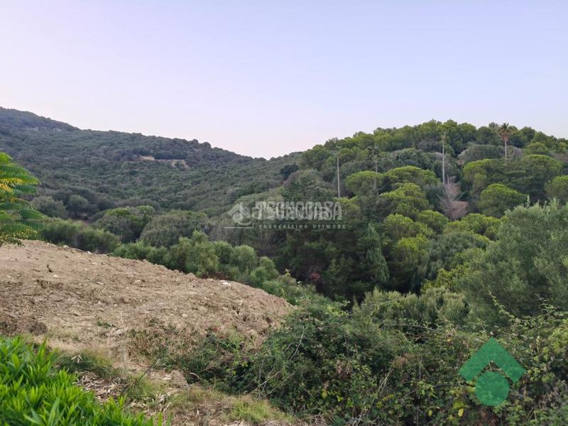 Foto cbb2e584-f0a9-4736-b9f7-ad01aa3b044c. Terreno residencial terrenos en venta en San García Algeciras