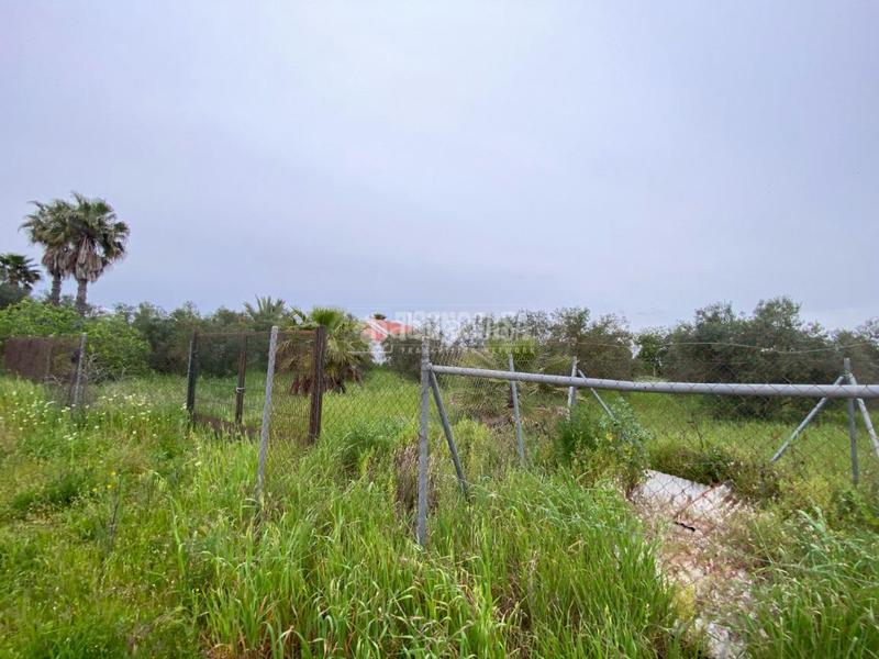 Foto 1d2ccdb2-37d0-43b4-83a8-3e761c26331d. Finca rústica terrenos en venta en El Arenal - La Pólvora Dos Hermanas