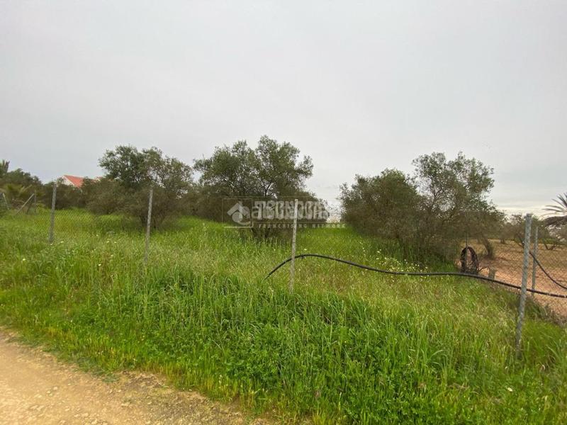 Foto 5466de3b-6496-4a12-9fb6-3aef840000f3. Finca rústica terrenos en venta en El Arenal - La Pólvora Dos Hermanas