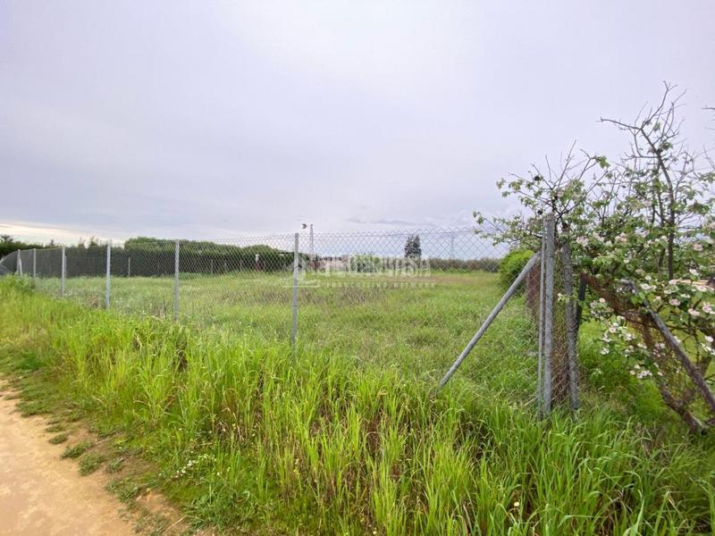 Foto 55176c06-1ca8-47db-9162-b1f65def87d8. Finca rústica terrenos en venta en El Arenal - La Pólvora Dos Hermanas