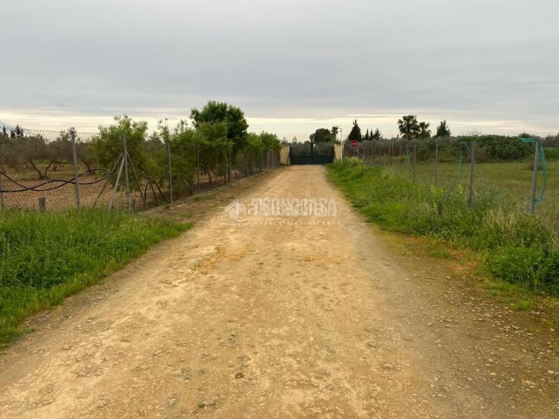 Foto 55d6afa4-9be5-47c7-bcb8-b57768fb4197. Finca rústica terrenos en venta en El Arenal - La Pólvora Dos Hermanas