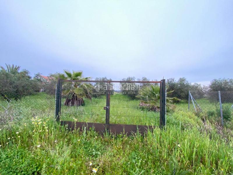 Foto 76f21b94-3b04-467a-a377-ef5de8f79be1. Finca rústica terrenos en venta en El Arenal - La Pólvora Dos Hermanas