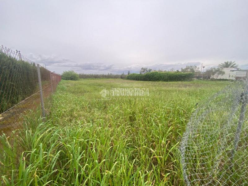 Foto 7d3afbdf-c207-46a0-8016-83b788990827. Finca rústica terrenos en venta en El Arenal - La Pólvora Dos Hermanas