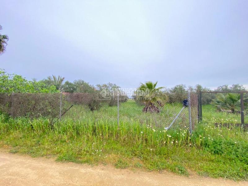 Foto c8649fc0-8a95-4ee5-9adf-8ea8d40565a6. Finca rústica terrenos en venta en El Arenal - La Pólvora Dos Hermanas