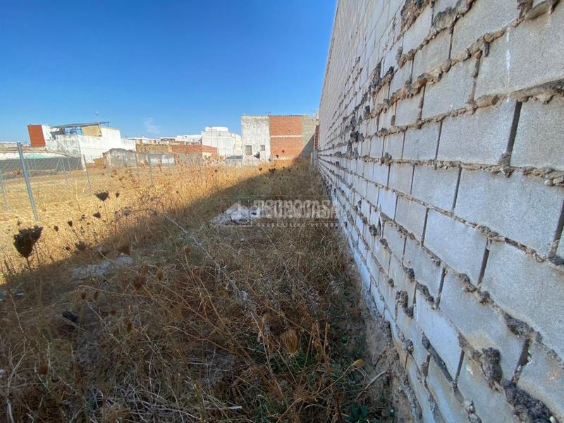 Foto 7f173de1-e67c-4905-a8e1-a179a6862cdc. Terreny residencial a Centro - Doña Mercedes Dos Hermanas