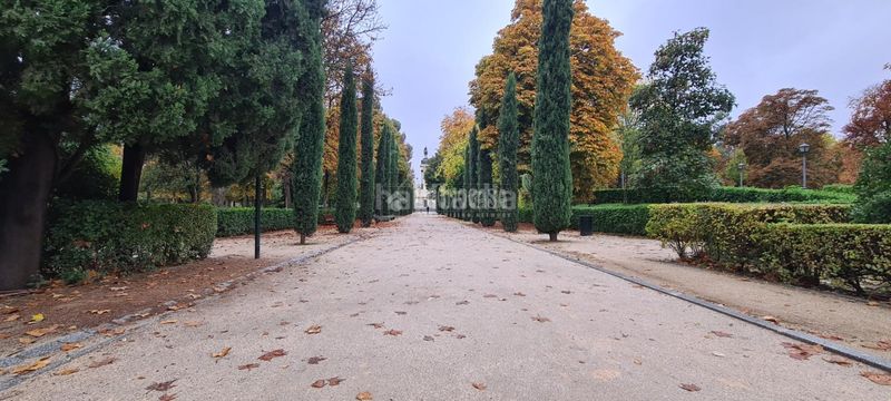 Foto 1af897e7-8ef6-4624-84d0-89bed96bd466. Pis a Recoletos Madrid