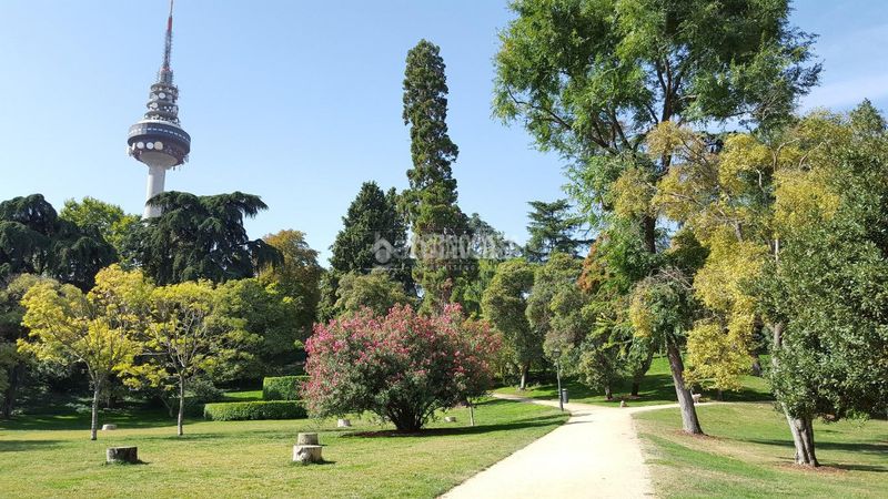 Foto ed9f08b5-52d4-4ca3-b20f-c4851461c7ef. Pis a Fuente del Berro Madrid