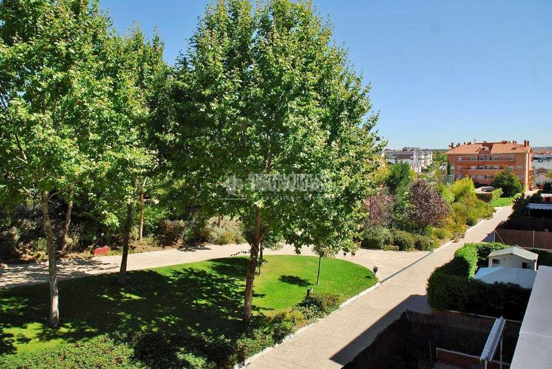 Foto e73f6656-cbef-4c8c-b80b-7c14a510a549. Rent flat with pool in Sector B Boadilla del Monte