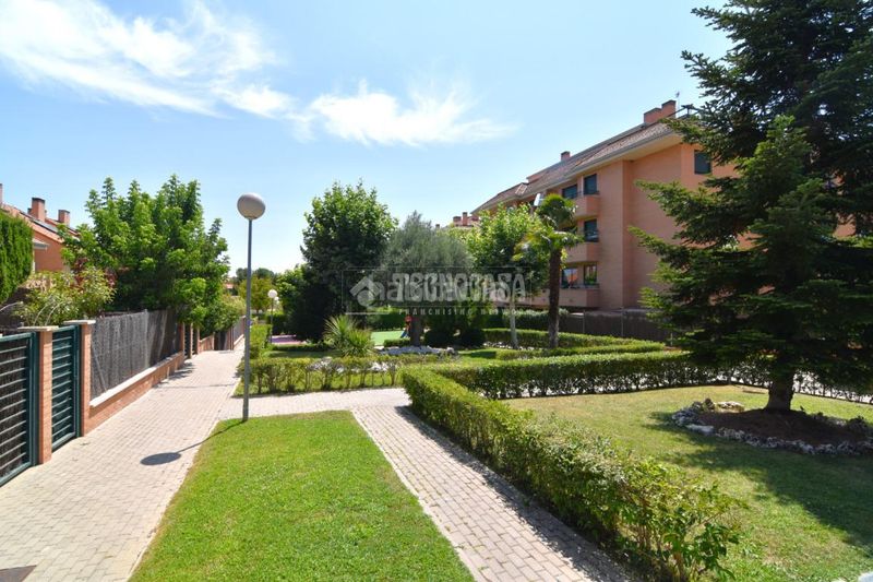 Foto f6c7db2a-f3ed-44e5-92d2-2626adf88204. Flat in Sector B Boadilla del Monte