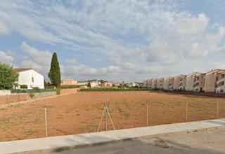 Terreny residencial  Carrer de la cala de la móra. Terreno de 1ha en venta junto al mar