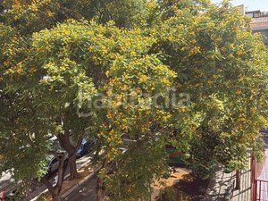 Foto 9789f993-a899-46dd-8a75-4c9fa4804f11. Piso en calle pablo picasso 104 piso en venta en Fraternidad Elda