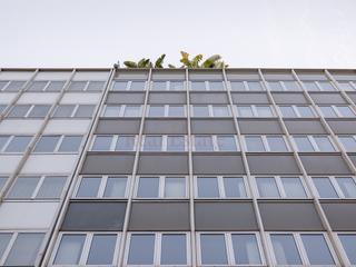 Location Bureau dans Calle mestre nicolau 21. Oficina luminosa cerca plaza f. maci