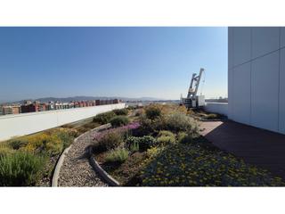 Location Bureau  N/a. Planta diáfana a 4 vientos con vistas al mar. 22