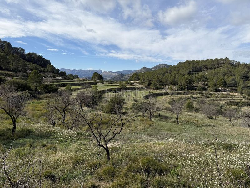Foto a5ff892e-1888-4c40-83fe-065c2f727cb7. Masia a Sella