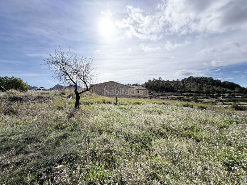 Foto f56c01ec-a9bc-4fba-bea7-b04676937e9c. Masia a Sella