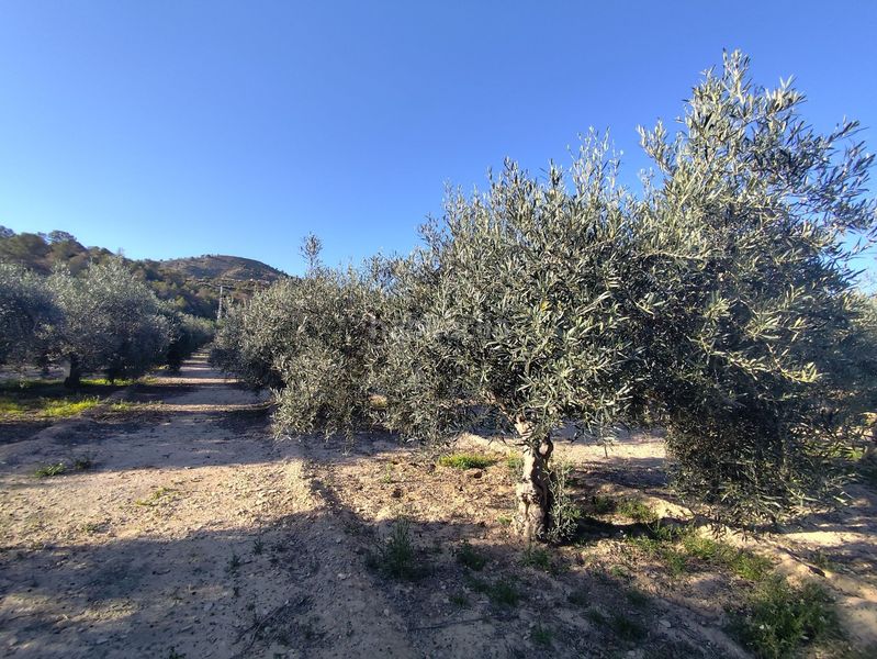 Foto ea940daf-124e-43df-8a32-b947cc04748d. Casa amb piscina a El Secanet-Hacienda del Sol Vila Joiosa (la)