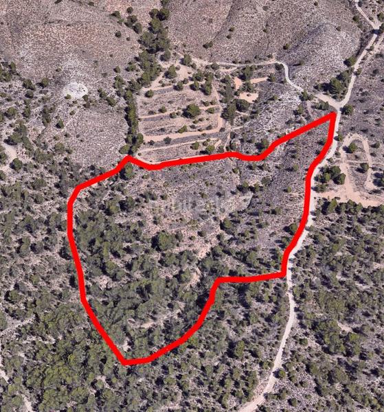 Foto 1000afac-9d02-421f-9acf-7e59919efaa8. Propriété dans robelles dans El Secanet-Hacienda del Sol Vila Joiosa (la)