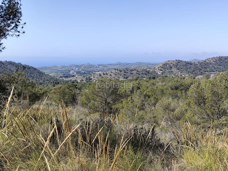 Foto b66eaca3-d04b-4572-9e4e-aa49294f852c. Propriété dans robelles dans El Secanet-Hacienda del Sol Vila Joiosa (la)