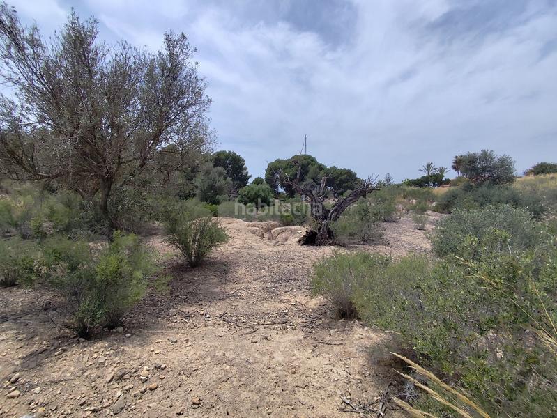 Foto 8b25994a-d467-48b2-9636-0d3dba6a247b. Wohngrundstück in Platja de Torres Vila Joiosa (la)