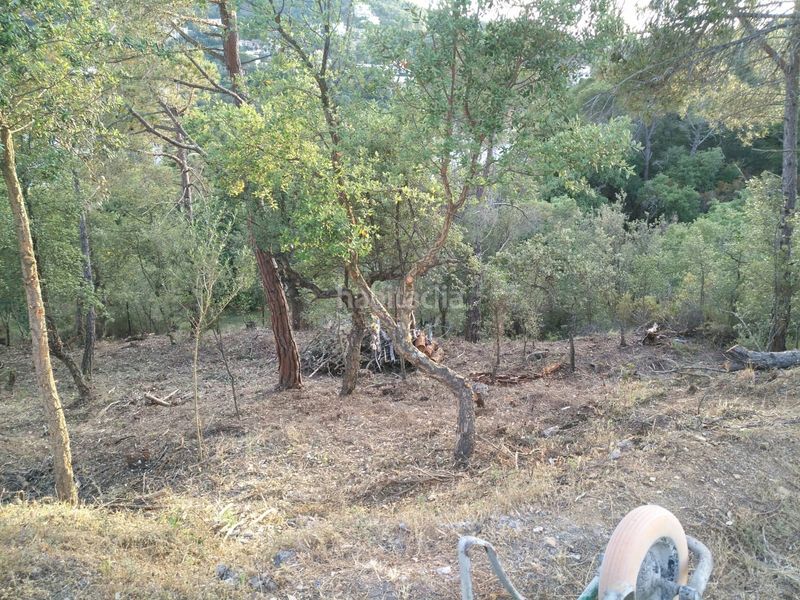 Foto 6170b633-316b-49d5-8798-953e52308fe0. Casa in Mas Pere-Río de Oro Calonge